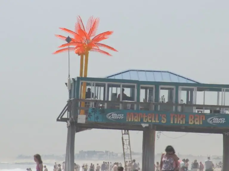 4627022501 cc386a9102 b