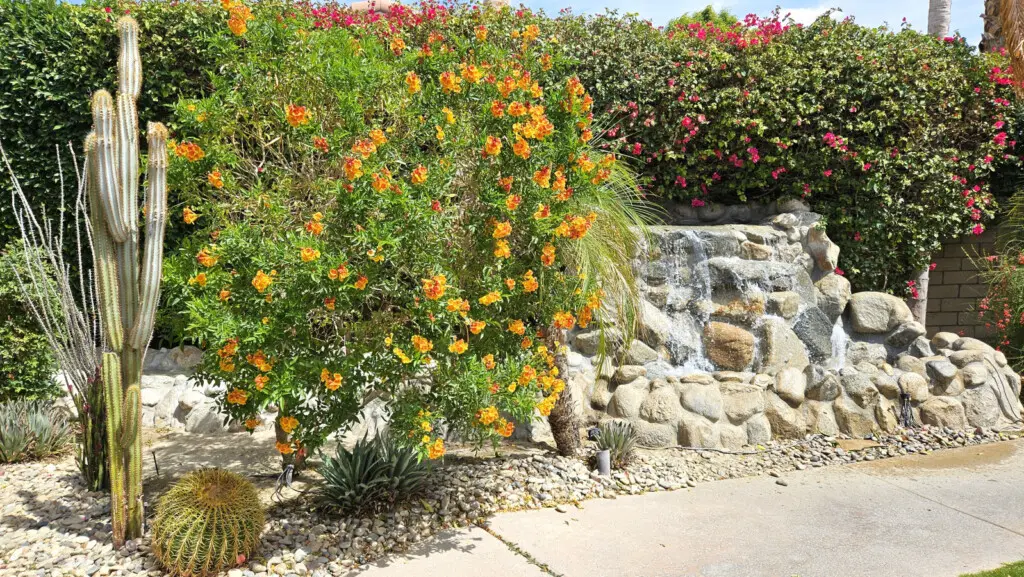 100257 377601 6Pd5Hcm6VUjb20t 3foCBYoHtKFFZjKliKq ECnaYa0 67ecdf3bd9737.jpg