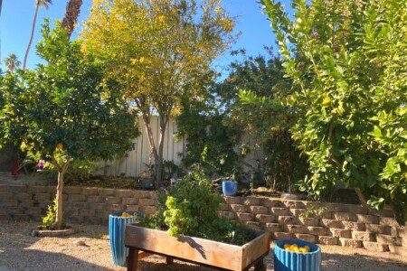 garden