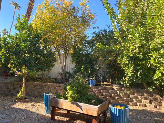 garden